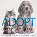 ADOPT DON’T SHOPT – CAMPAIGN #1