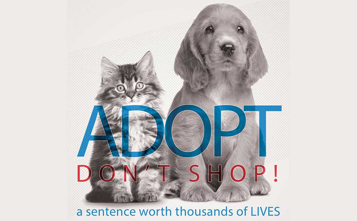 ADOPT DON’T SHOPT – CAMPAIGN #1