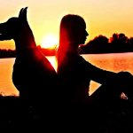 WHY WE HELP ANIMALS, NOT HUMANS