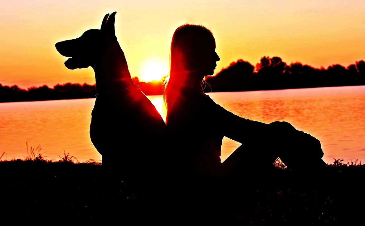 WHY WE HELP ANIMALS, NOT HUMANS