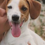 THE ONLY MARKS YOU SHOULD LEAVE ON ANY ANIMAL