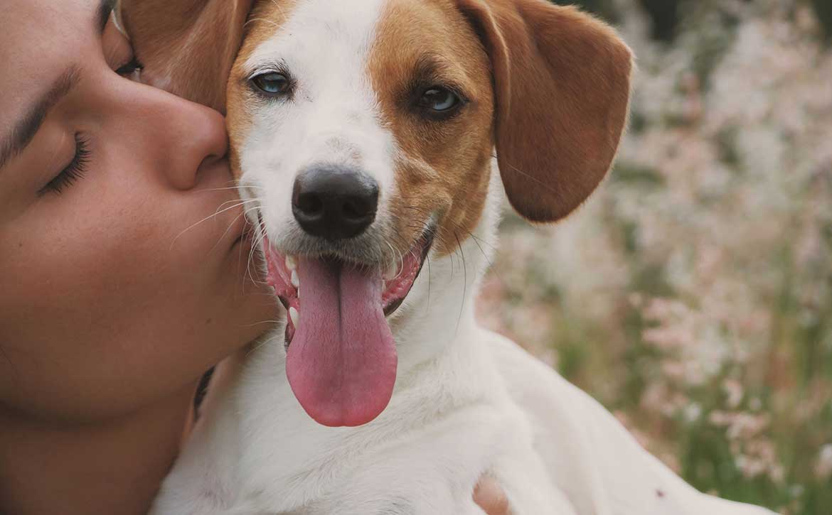 THE ONLY MARKS YOU SHOULD LEAVE ON ANY ANIMAL