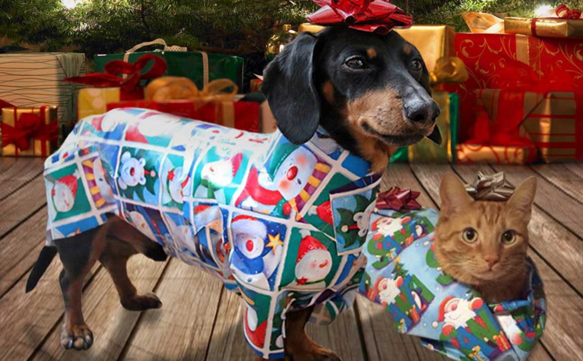 PETS ARE NOT FOR CHRISTMAS, PETS ARE FOR LIFE!