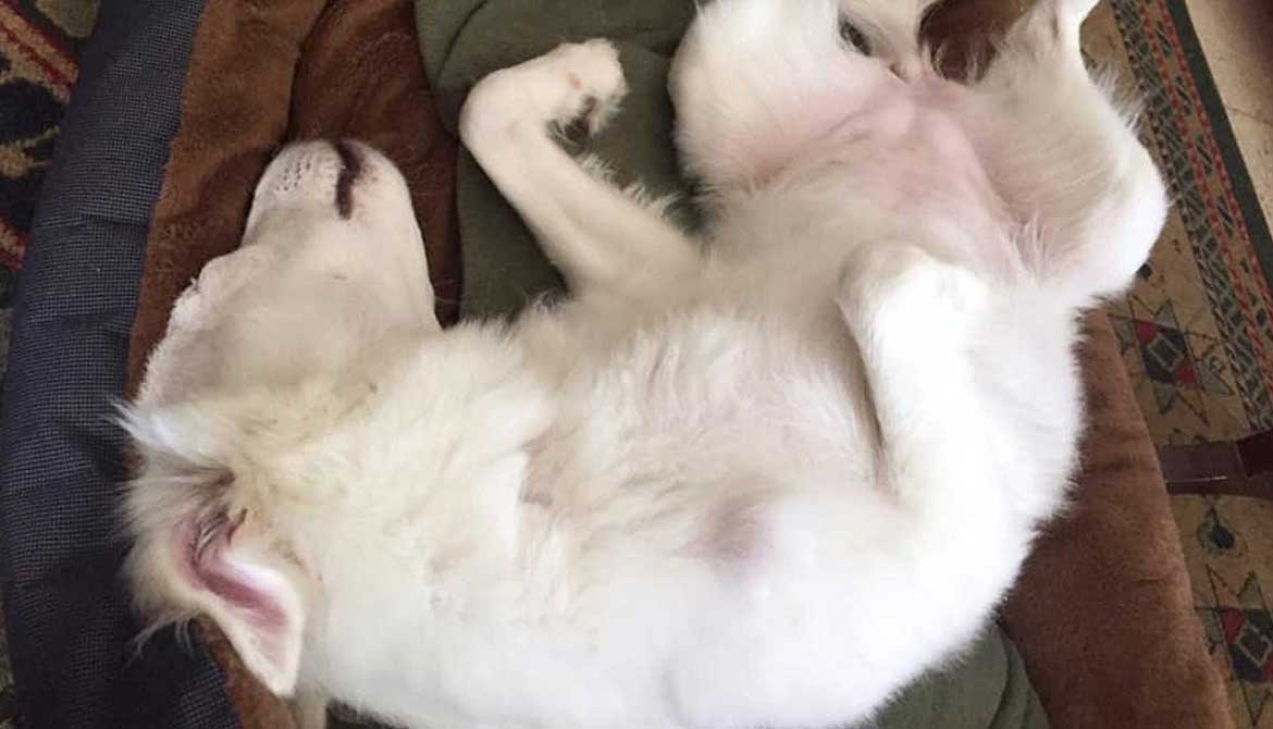 LILLY: FROM BEIRUT TO CANADA!