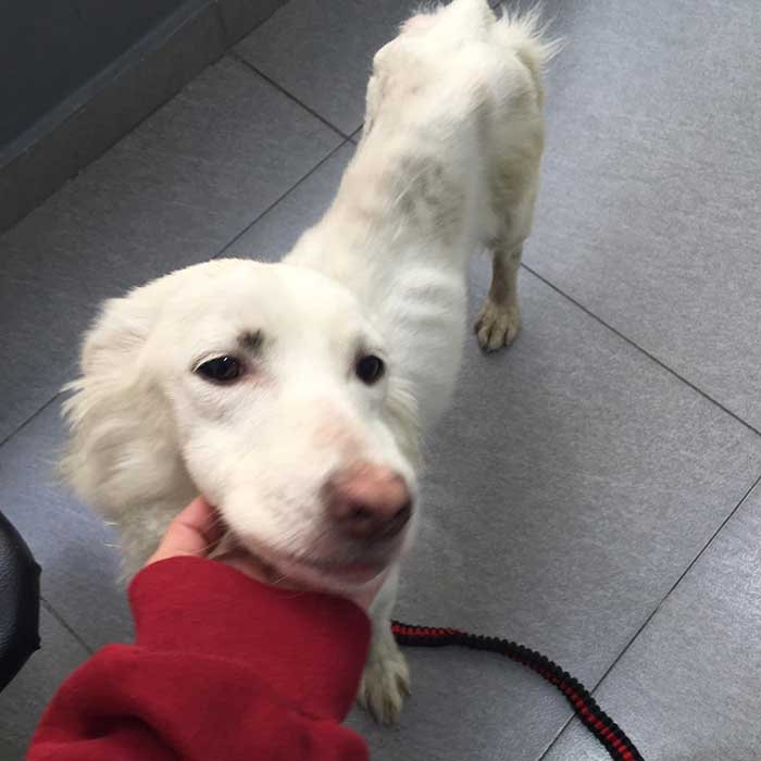 LILLY: FROM BEIRUT TO CANADA!