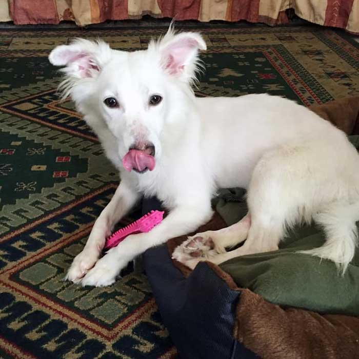 LILLY: FROM BEIRUT TO CANADA!