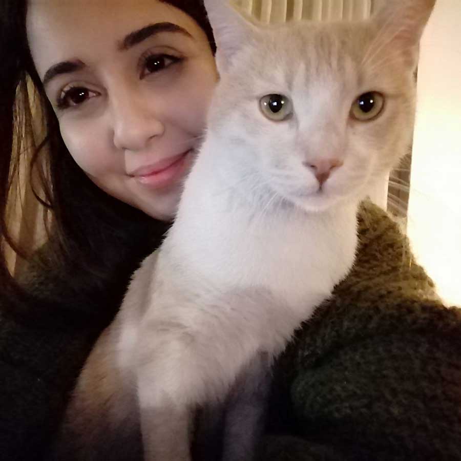 DOUBLY A STRAY CAT BROUGHT BACK TO LIFE!