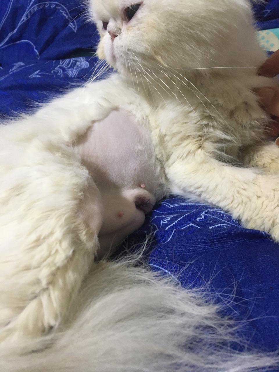 ANGELA: DUMPED BECAUSE OF HER INFECTION!