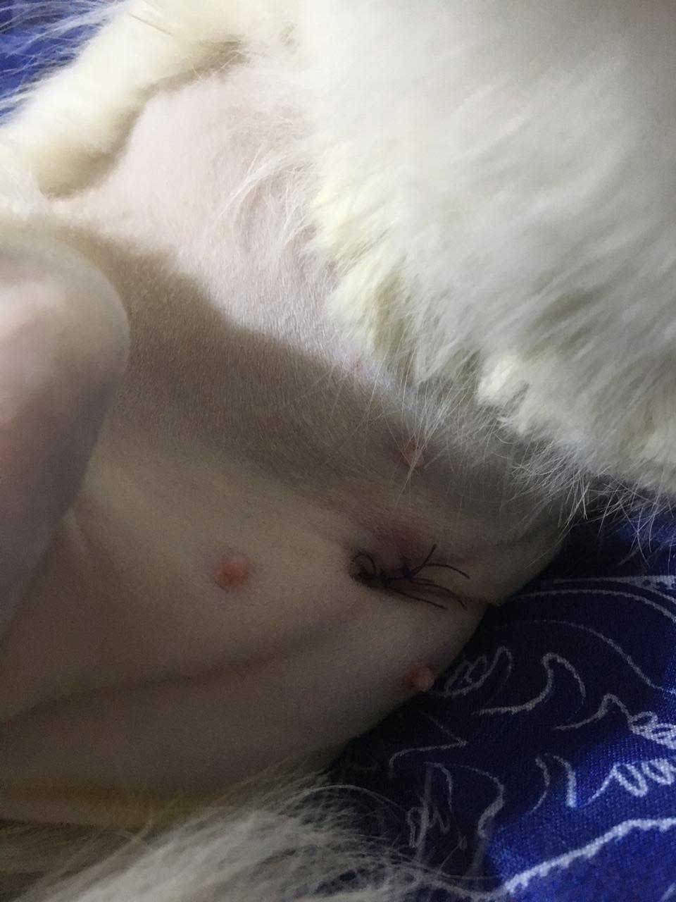 ANGELA: DUMPED BECAUSE OF HER INFECTION!
