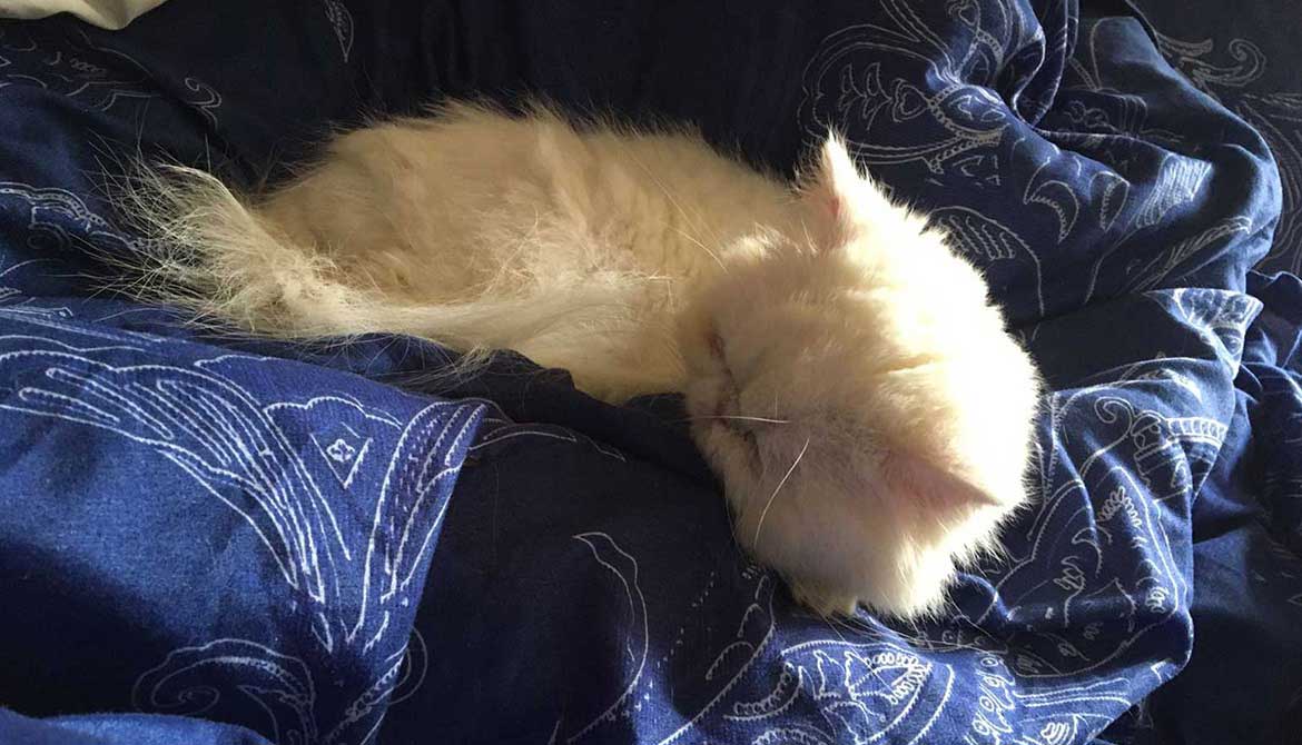 ANGELA: DUMPED BECAUSE OF HER INFECTION!