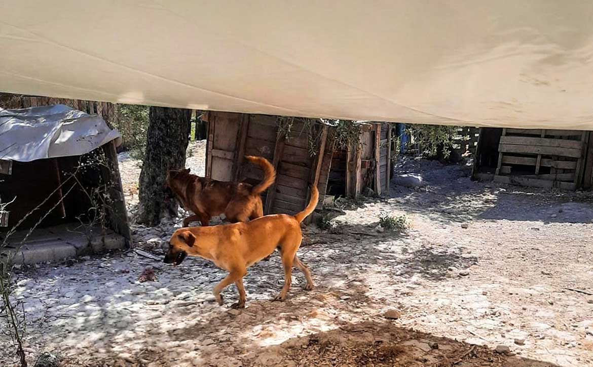 SHADES FOR A SHELTER