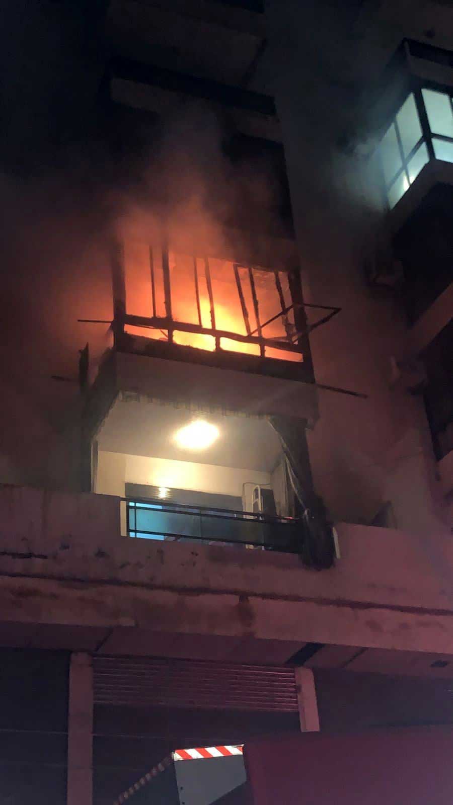 STELLA: A CAT VICTIM OF A FIRE