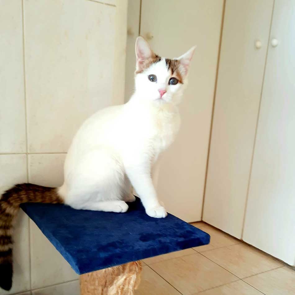 HELGA OUR OFFICIAL FIRST RESCUE TO PARIS!
