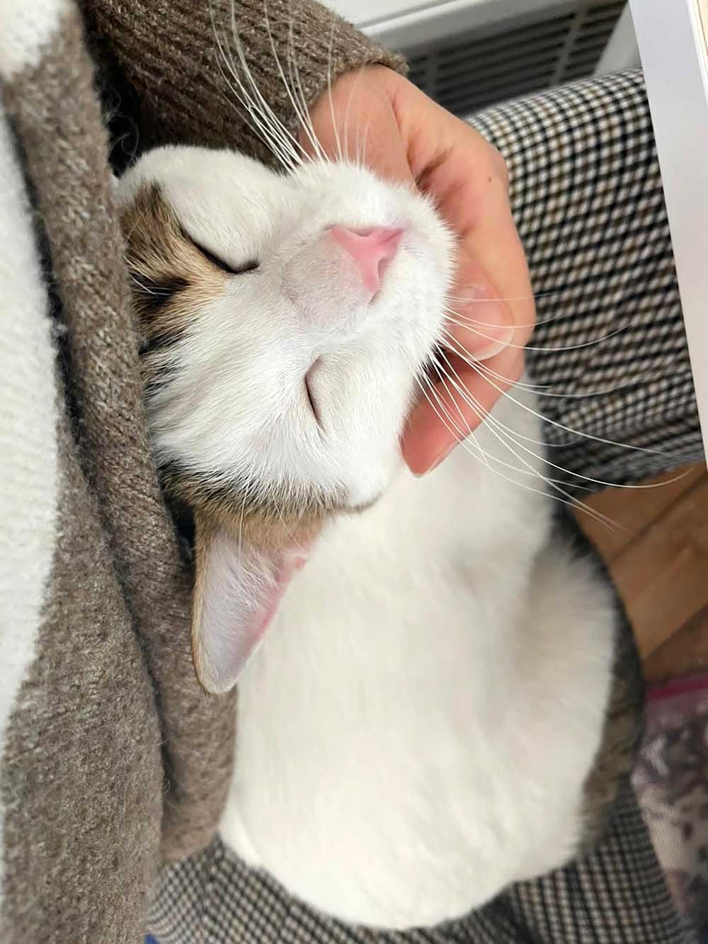 HELGA OUR OFFICIAL FIRST RESCUE TO PARIS!