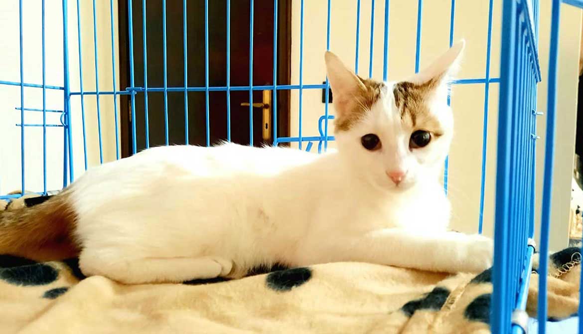 HELGA OUR OFFICIAL FIRST RESCUE TO PARIS!
