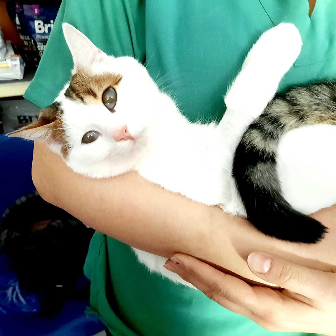 HELGA OUR OFFICIAL FIRST RESCUE TO PARIS!