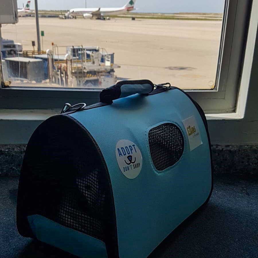 HELGA OUR OFFICIAL FIRST RESCUE TO PARIS!