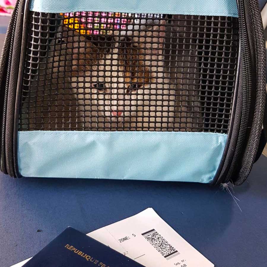 HELGA OUR OFFICIAL FIRST RESCUE TO PARIS!
