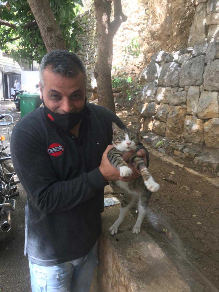 ANTAR THE STRAY CAT WITH BRONCHITIS