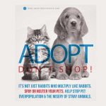 SPAY OR NEUTER YOUR PETS – CAMPAIGN