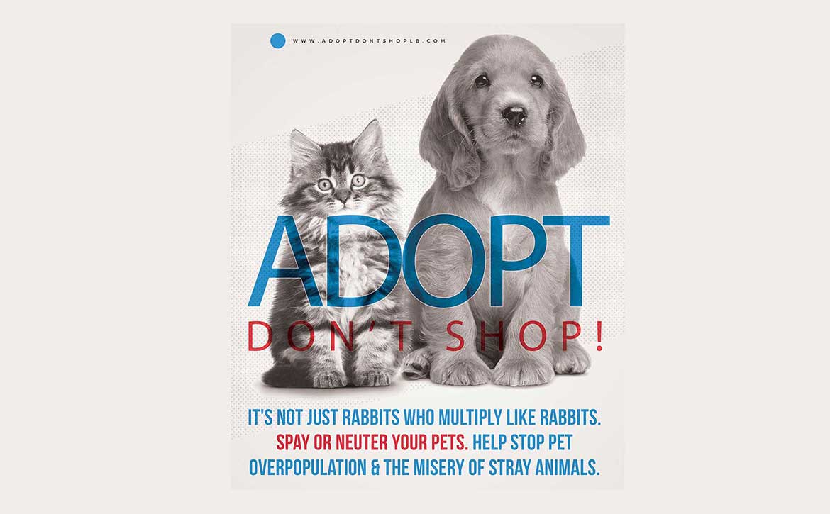 SPAY OR NEUTER YOUR PETS – CAMPAIGN