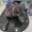 BLACKY: TNR