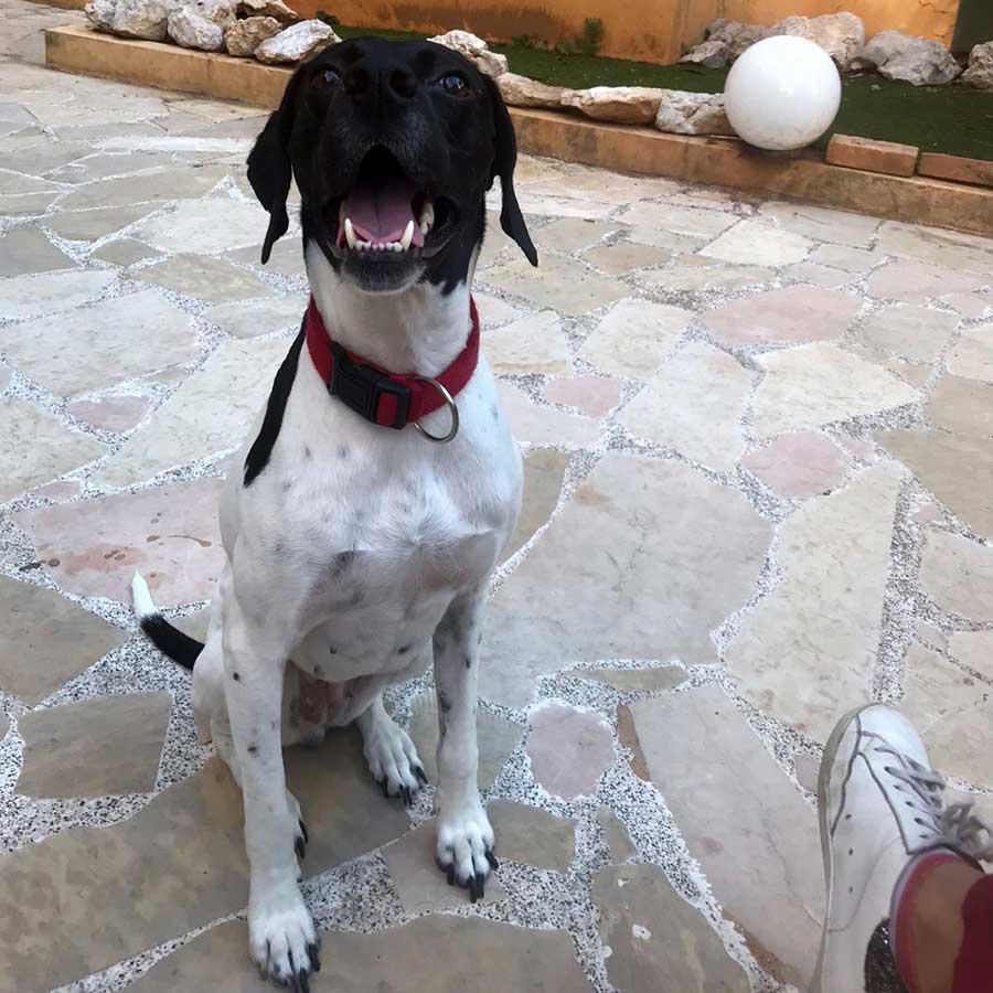 JASMINE: FROM THE STREETS OF CHEKKA TO FRANCE