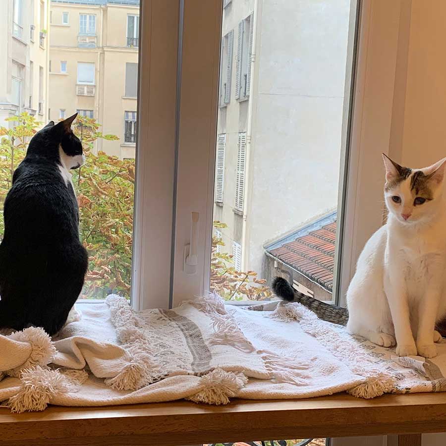 OREO FROM EUTHANASIA TO PARIS