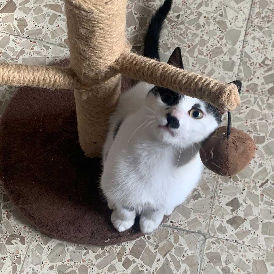 SPOTS: FINALLY HOME