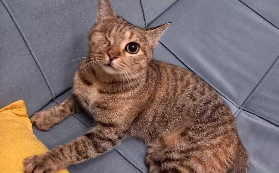 DUMPED WITH STITCHES IN THE EYE AND PREGNANT