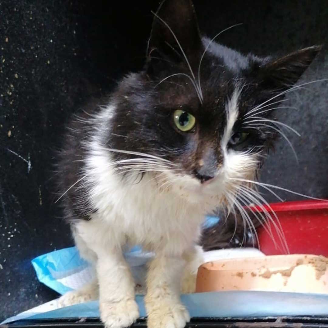 OLLY DUMPED, AT THE HOSPITAL!