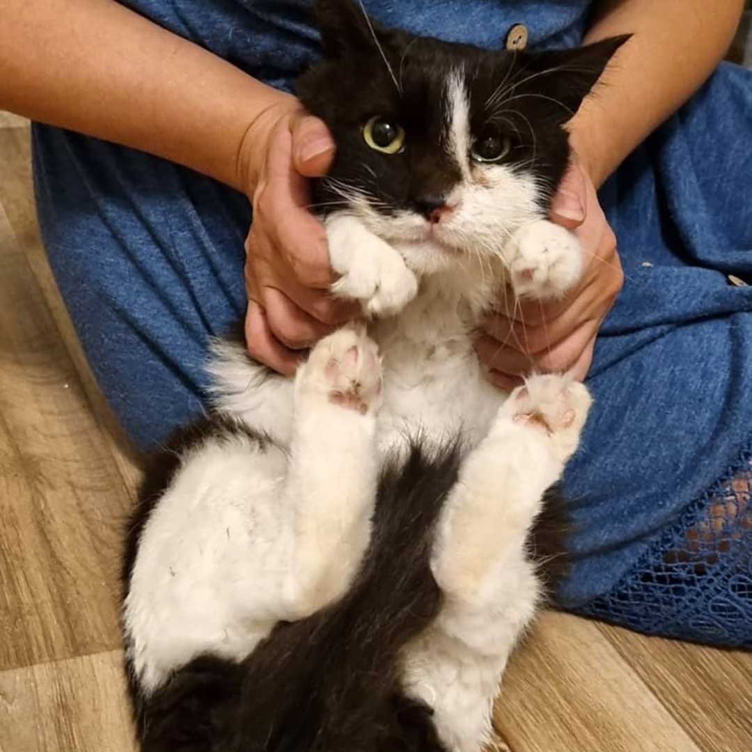 OLLY DUMPED, AT THE HOSPITAL!