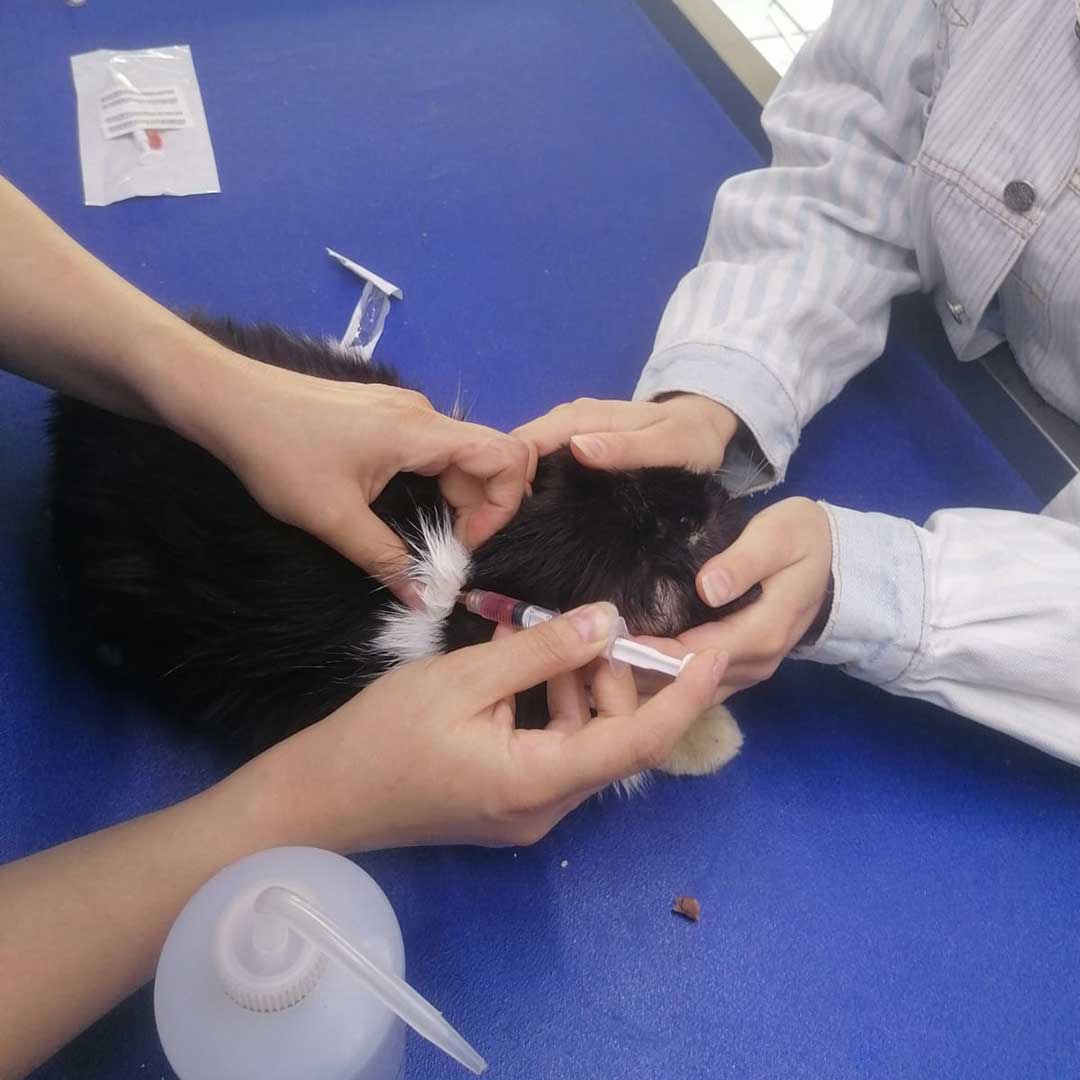 OLLY DUMPED, AT THE HOSPITAL!