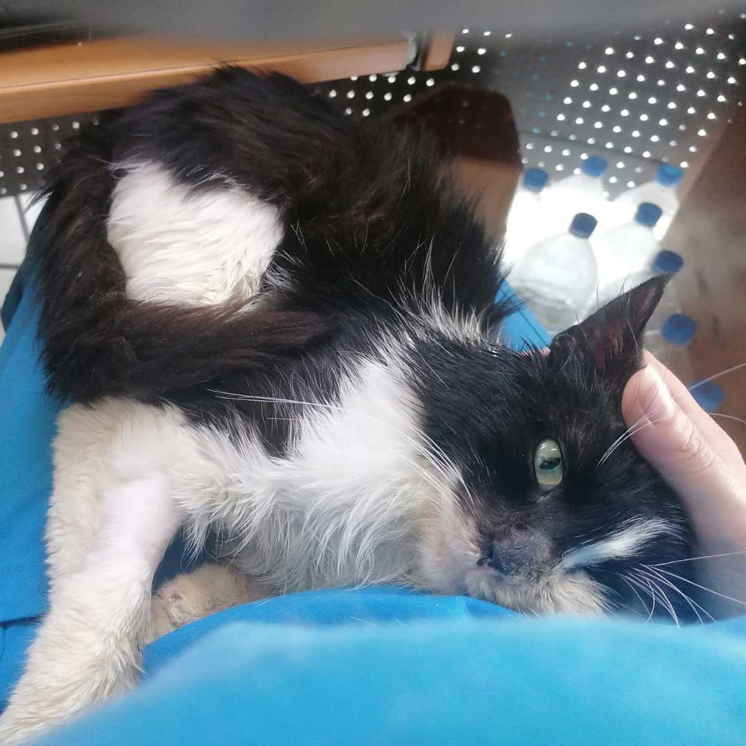 OLLY DUMPED, AT THE HOSPITAL!