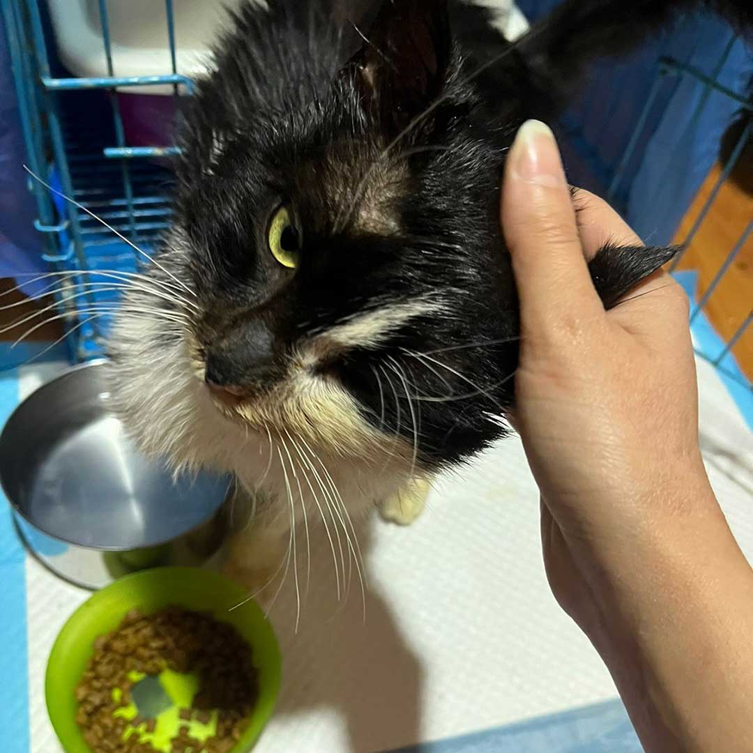 OLLY DUMPED, AT THE HOSPITAL!