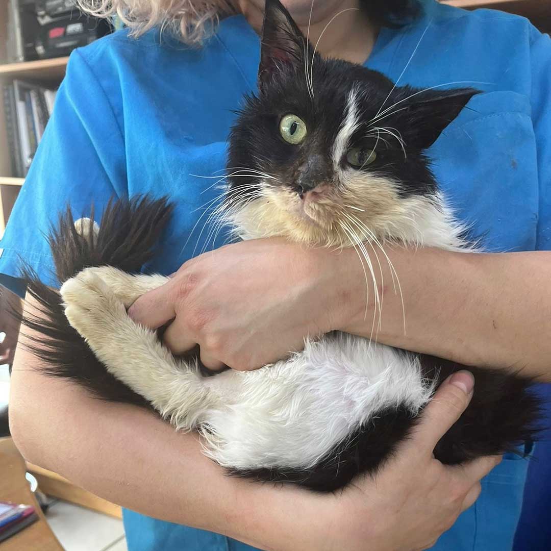 OLLY DUMPED, AT THE HOSPITAL!