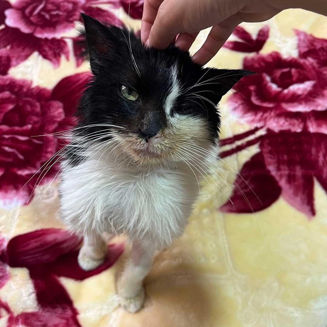 OLLY DUMPED, AT THE HOSPITAL!