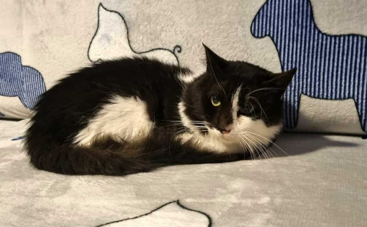 OLLY DUMPED, AT THE HOSPITAL!