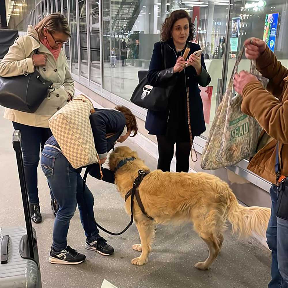 BEN FINALLY MADE IT HOME IN FRANCE