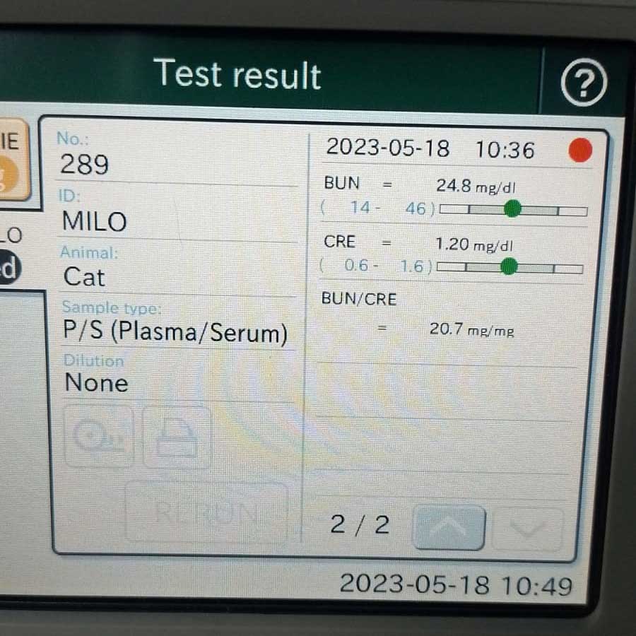 MILO: ANOTHER WRONG DIAGNOSIS ON CANCER