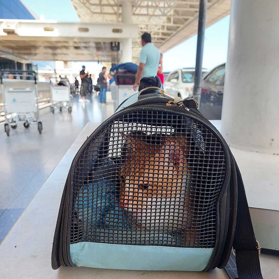 SAMI FROM BEIRUT TO PARIS