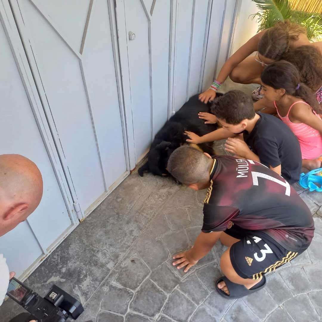CHEKKA'S POISONED STRAYS - SUMMER 2023