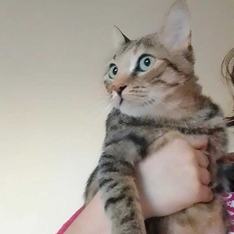 ZOEY ADOPTED THEN RETURNED