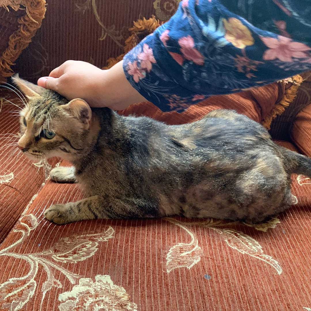 ZOEY ADOPTED THEN RETURNED