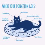 ADS INTERNATIONAL | WHERE YOUR DONATION GOES