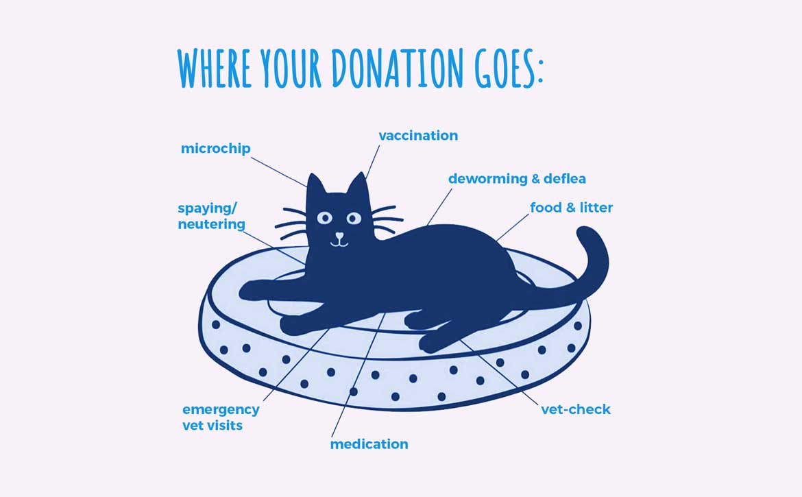 ADS INTERNATIONAL | WHERE YOUR DONATION GOES