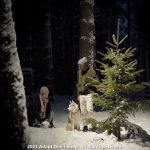 THIS HOLIDAY SEASON, EMBRACE RESPONSIBLE PET ADOPTION AND GIVE THE GIFT OF WARMTH