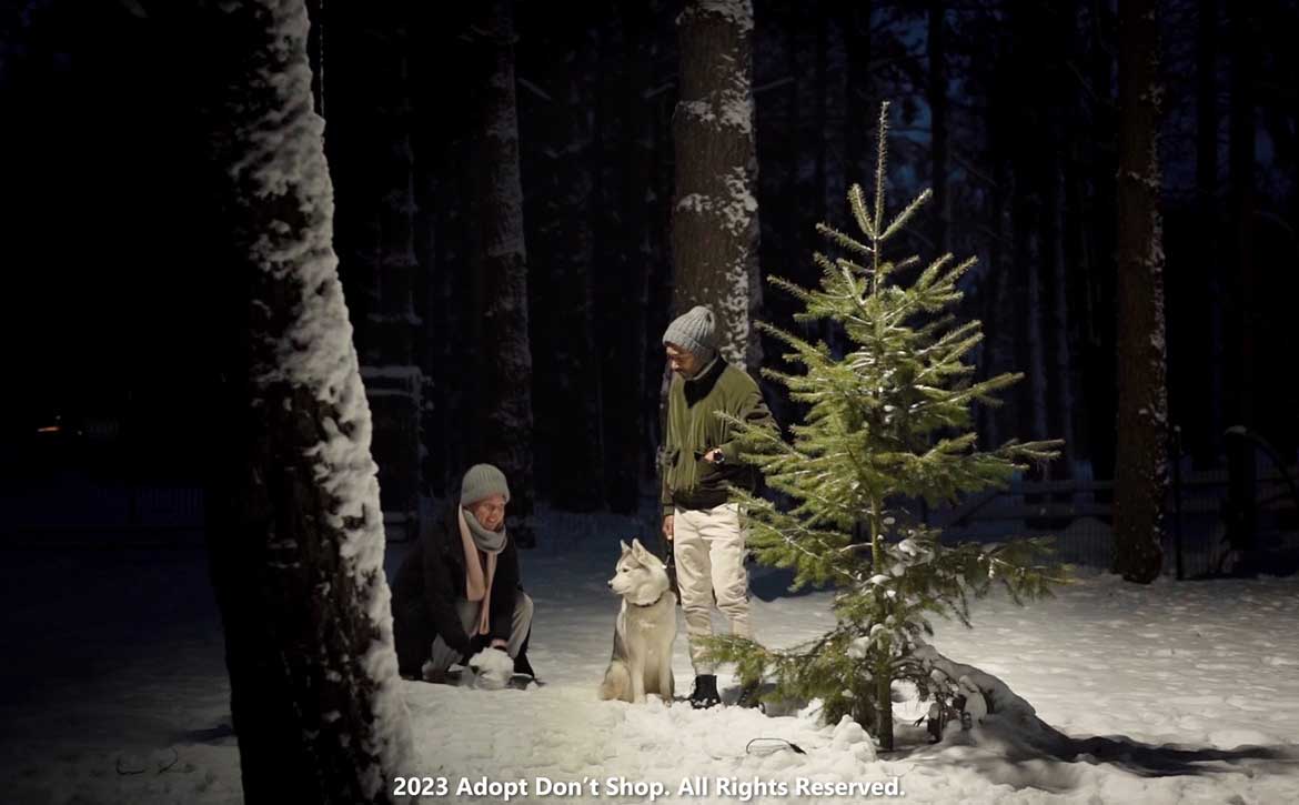 THIS HOLIDAY SEASON, EMBRACE RESPONSIBLE PET ADOPTION AND GIVE THE GIFT OF WARMTH