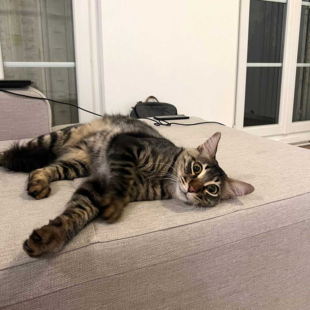FELIX IS NOW IN LE HAVRE, HOME!