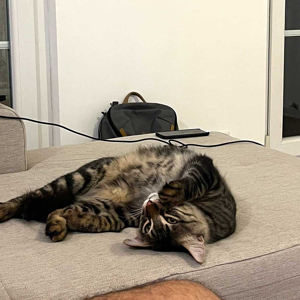 FELIX IS NOW IN LE HAVRE, HOME!